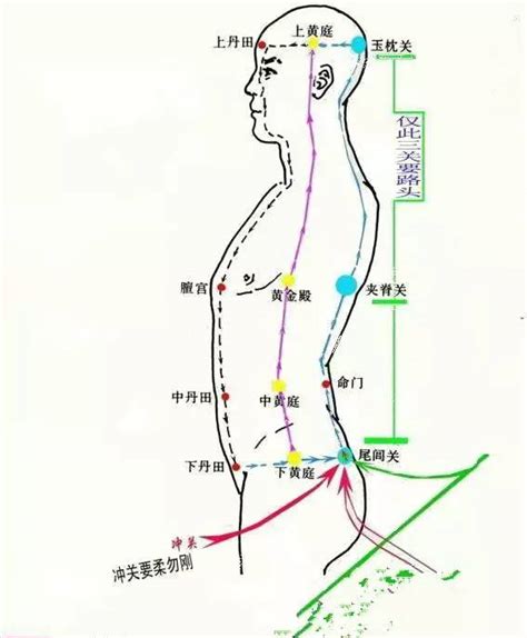 玄关穴|穴位玄关在人体的那个部位？